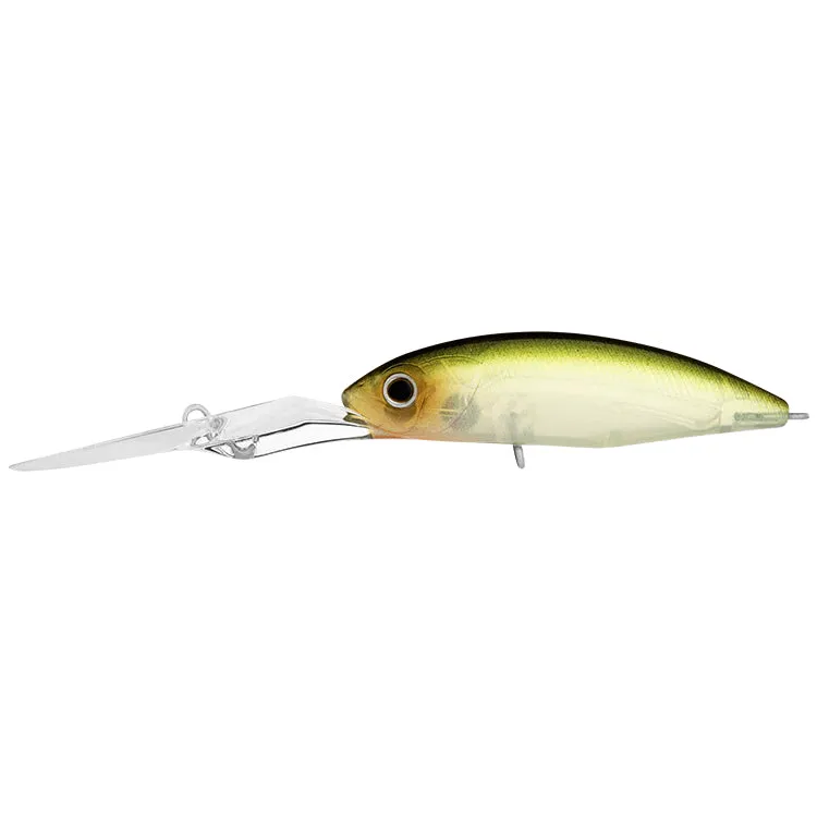 Daiwa Infeet Spike 53EXDR