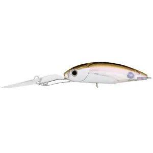 Daiwa Infeet Spike 53EXDR