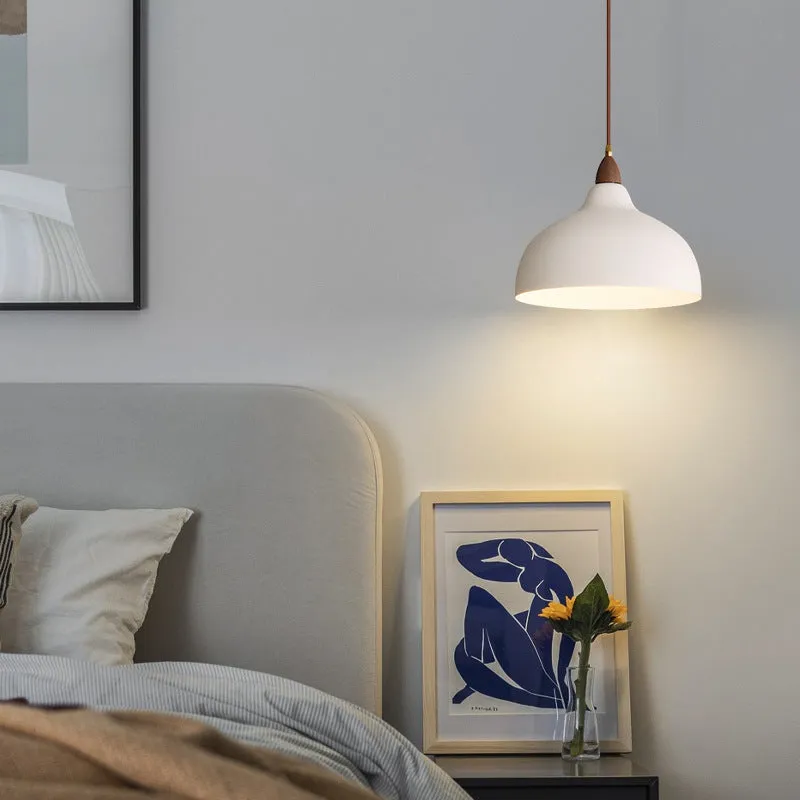Ian Solid Pendant Light