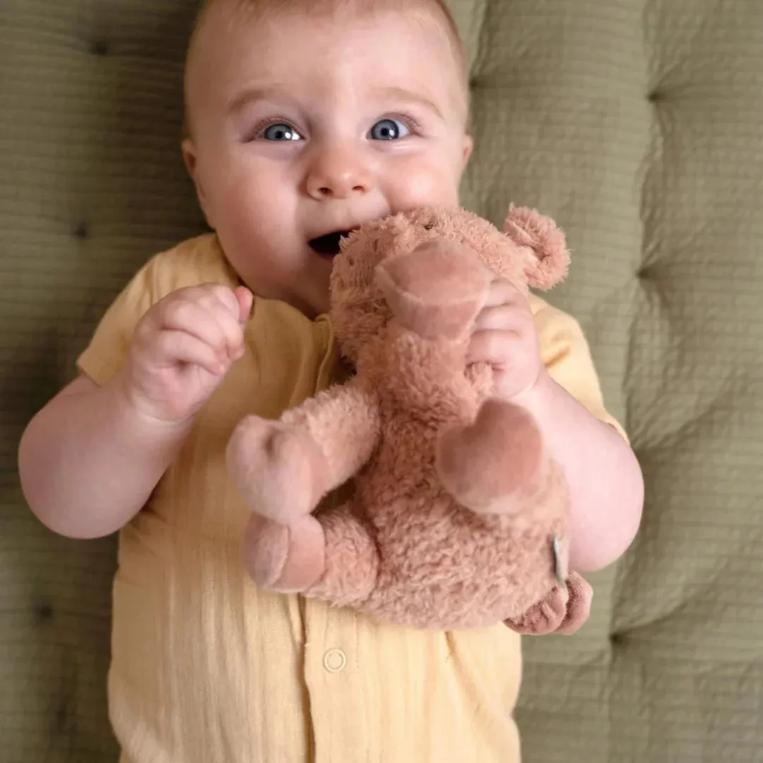 Little Dutch Little Farm - Pink Cuddle Pig