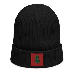 Lone Pine Black Organic Ribbed Beanie