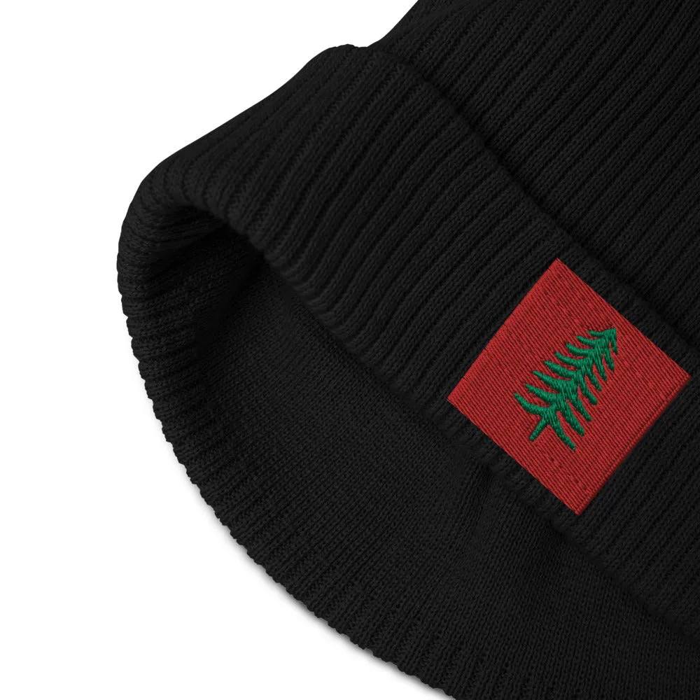 Lone Pine Black Organic Ribbed Beanie