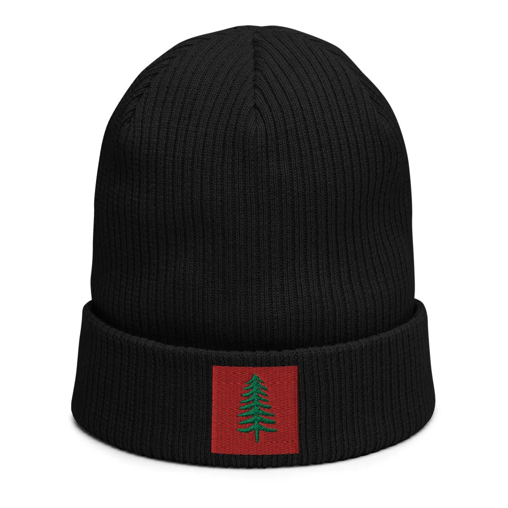 Lone Pine Black Organic Ribbed Beanie