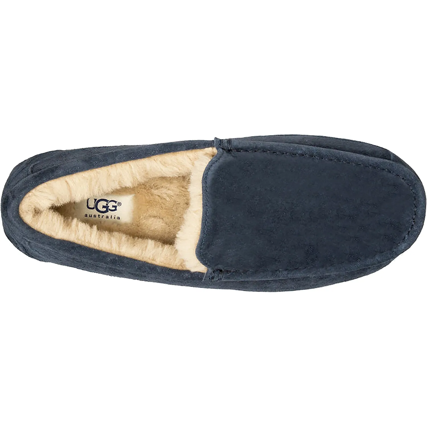 Men's UGG Ascot New Navy Suede