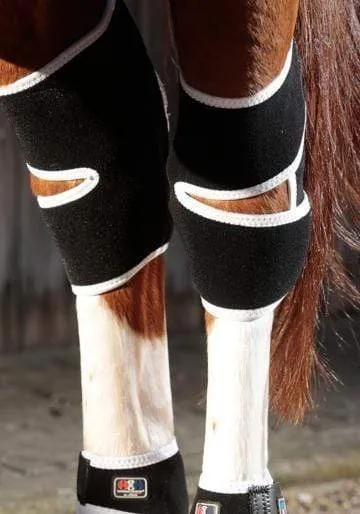 Premier Equine Magni Teque Magnetic Hock Boots