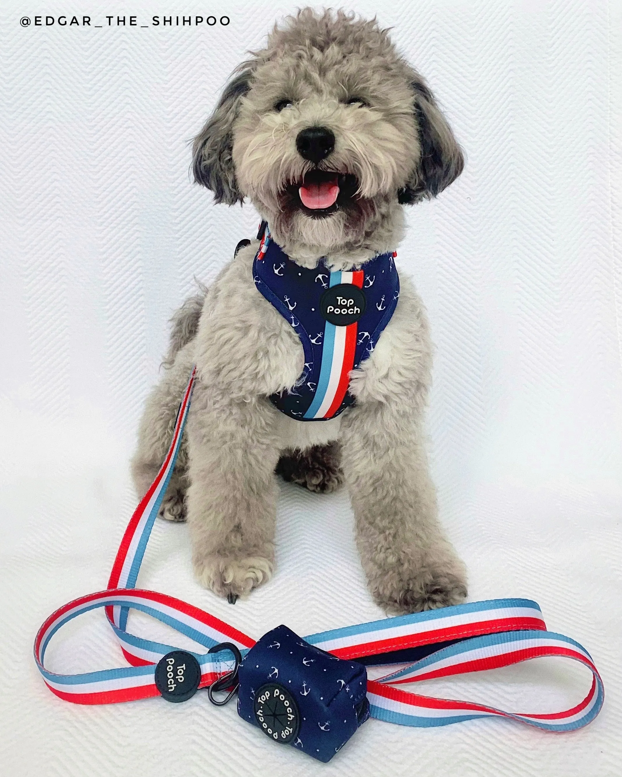 Riviera Dog Harness