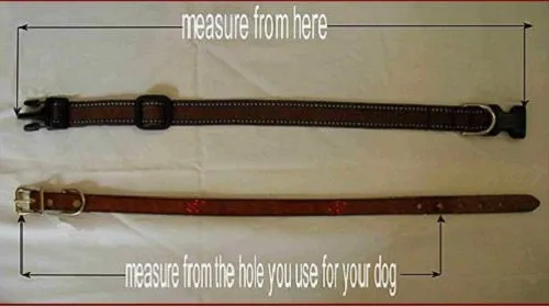 Southwest Beaded Dog Collar