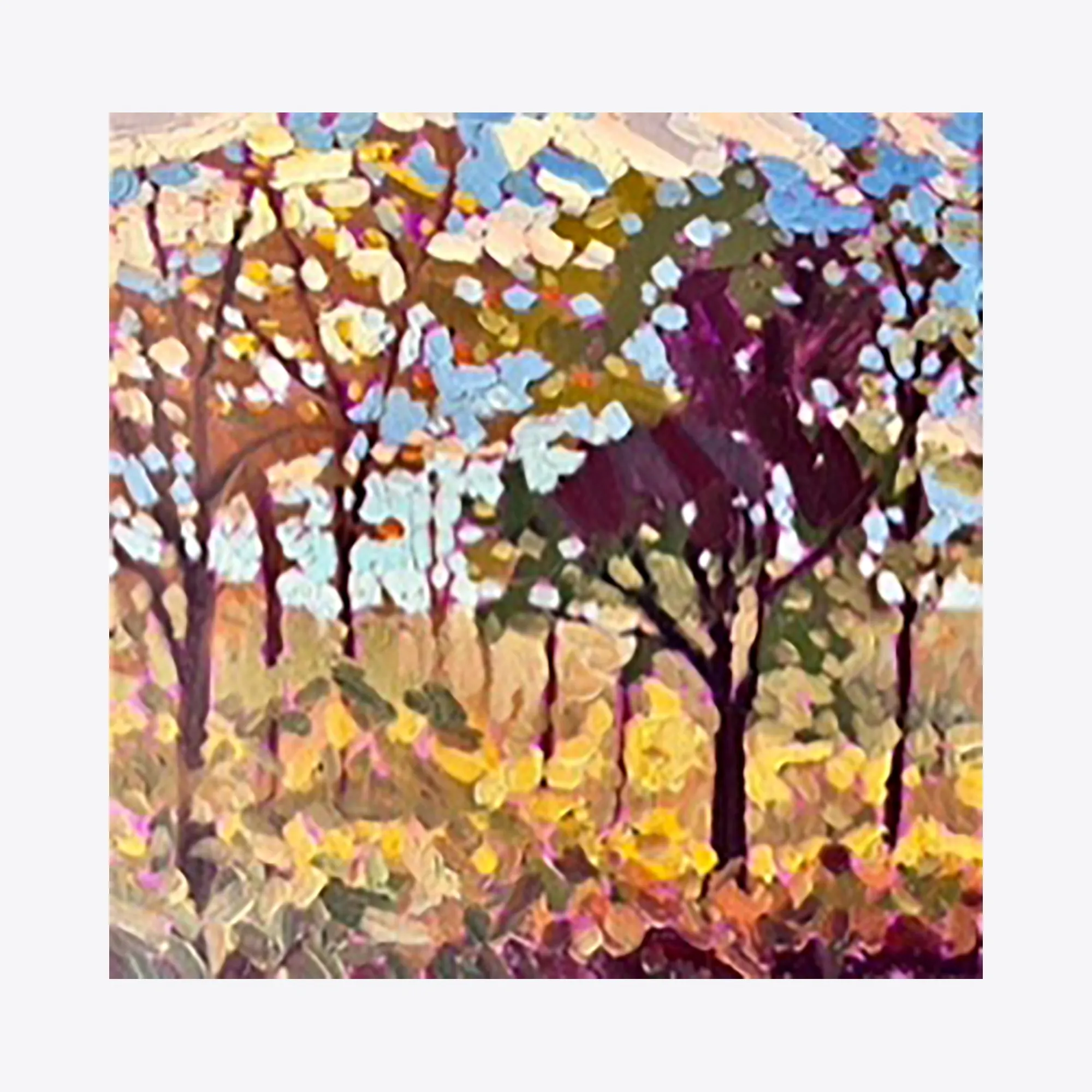 The Forest's Edge