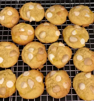 White Chocolate Macadamia Nut -Bite Size